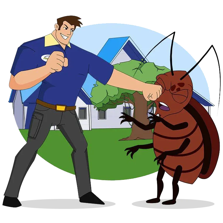 man-punching-roach