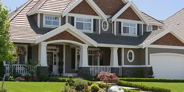 residential pest control